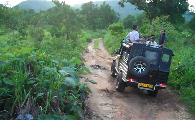 Hurulu Eco Park Jeep Safari